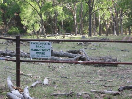 fallen trees by fence