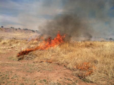 fire burning in open range